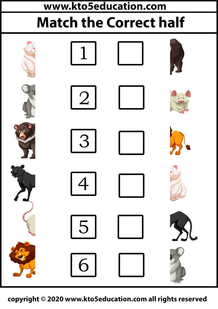 Match the Correct half animal Worksheet 2 | Free Printable