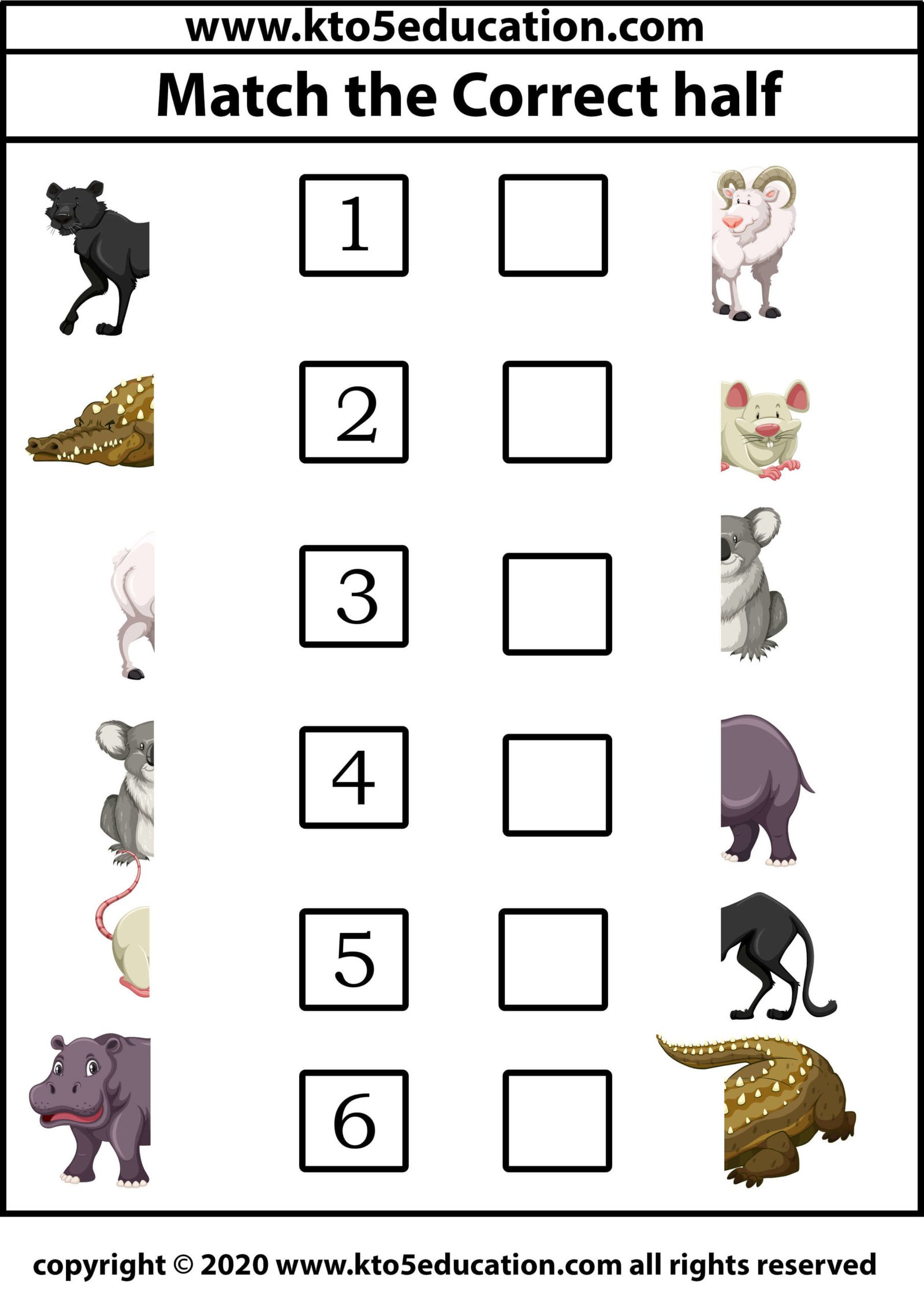 Match the Correct half animal Worksheet 3