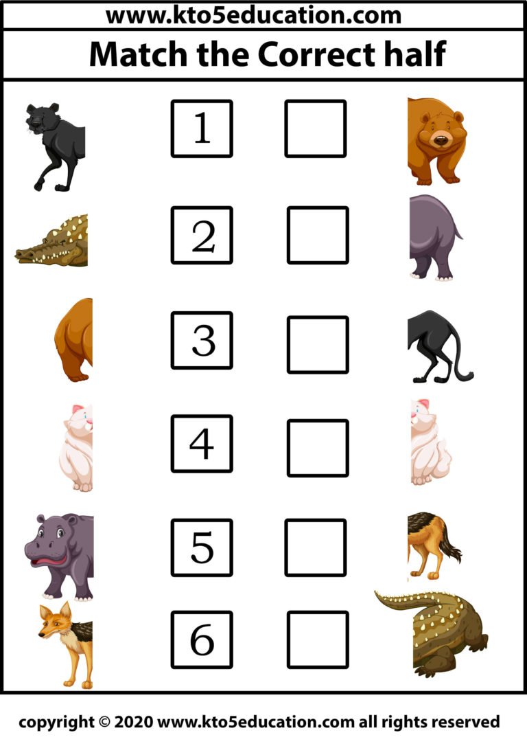 Match the Correct half animal Worksheet 4