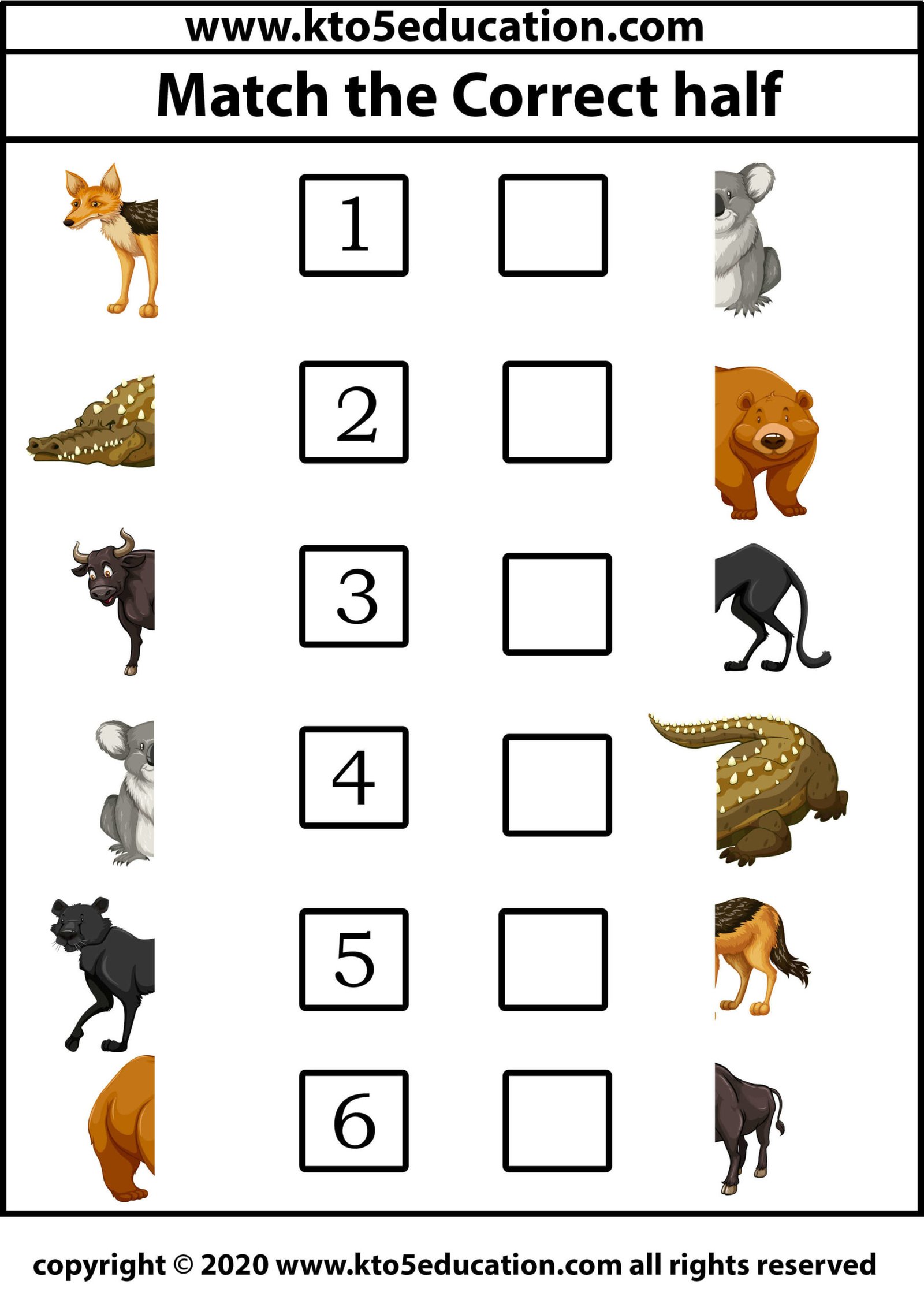 Match the Correct half animal Worksheet 5