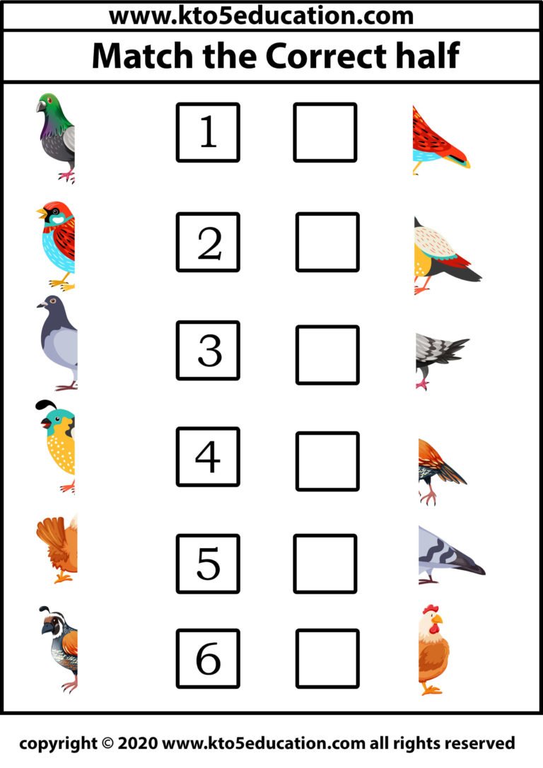 Match the Correct half Bird Worksheet 2