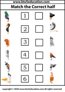 Match the Correct half Bird Worksheet