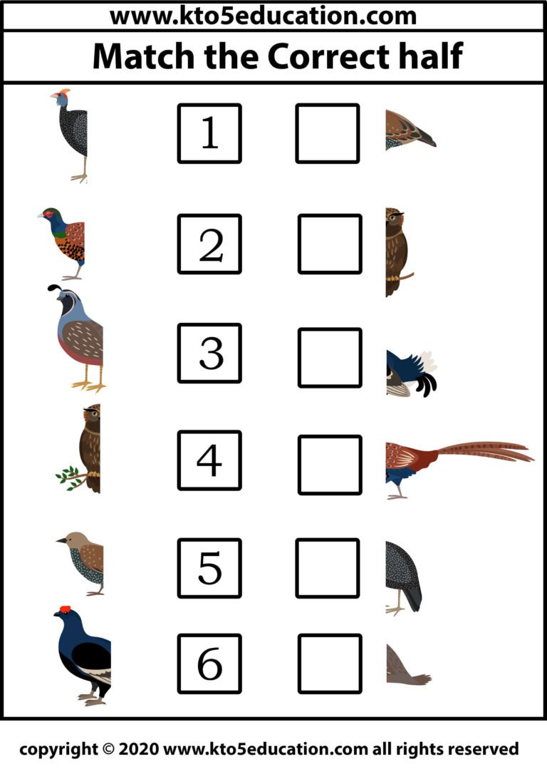 Match the Correct half Bird Worksheet 4