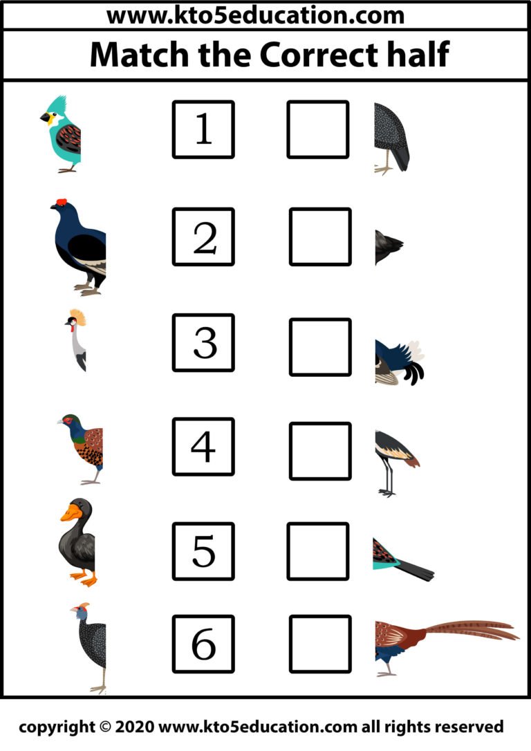 Match the Correct half Bird Worksheet 5