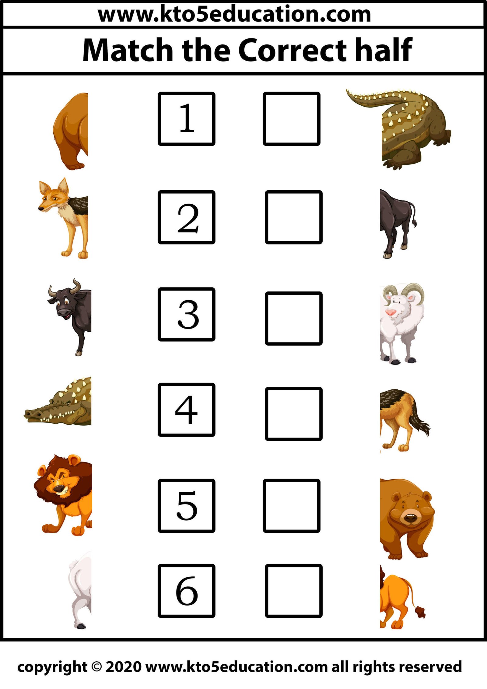 Match the Correct half animal Worksheet
