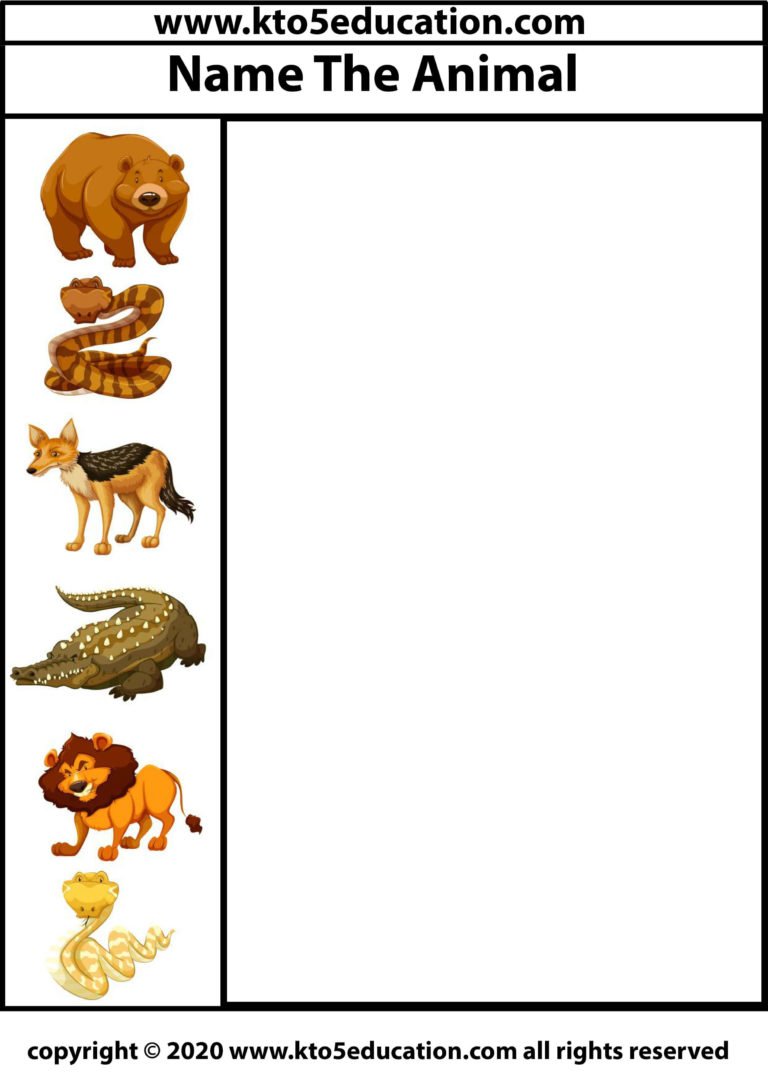 Write the name of the Animal Worksheet 2