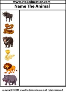 Write the name of the Animal Worksheet 3