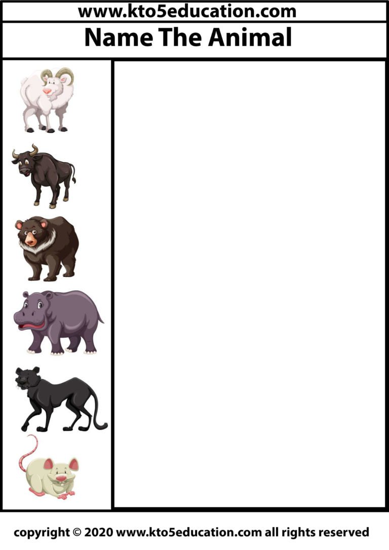 english esl zoo animals worksheets most downloaded 61 results - free