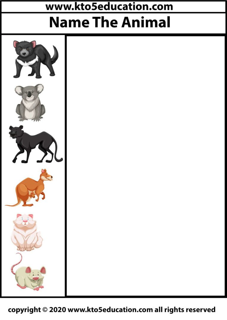 Write the name of the Animal Worksheet 5