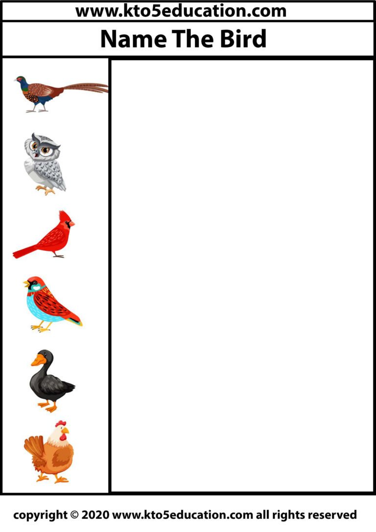 Write the name of the Birds Worksheet 3