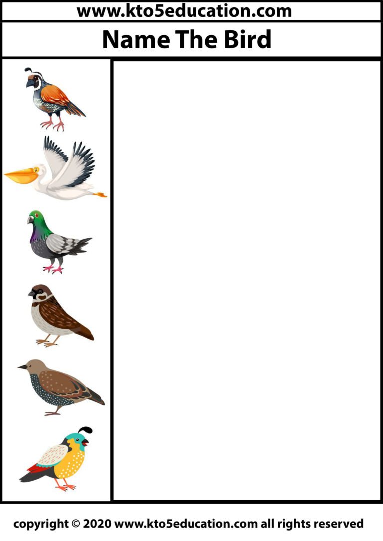 Write the name of the Birds Worksheet 1