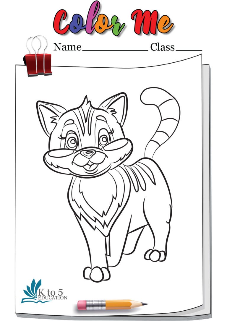 Beautiful Cat coloring page worksheet