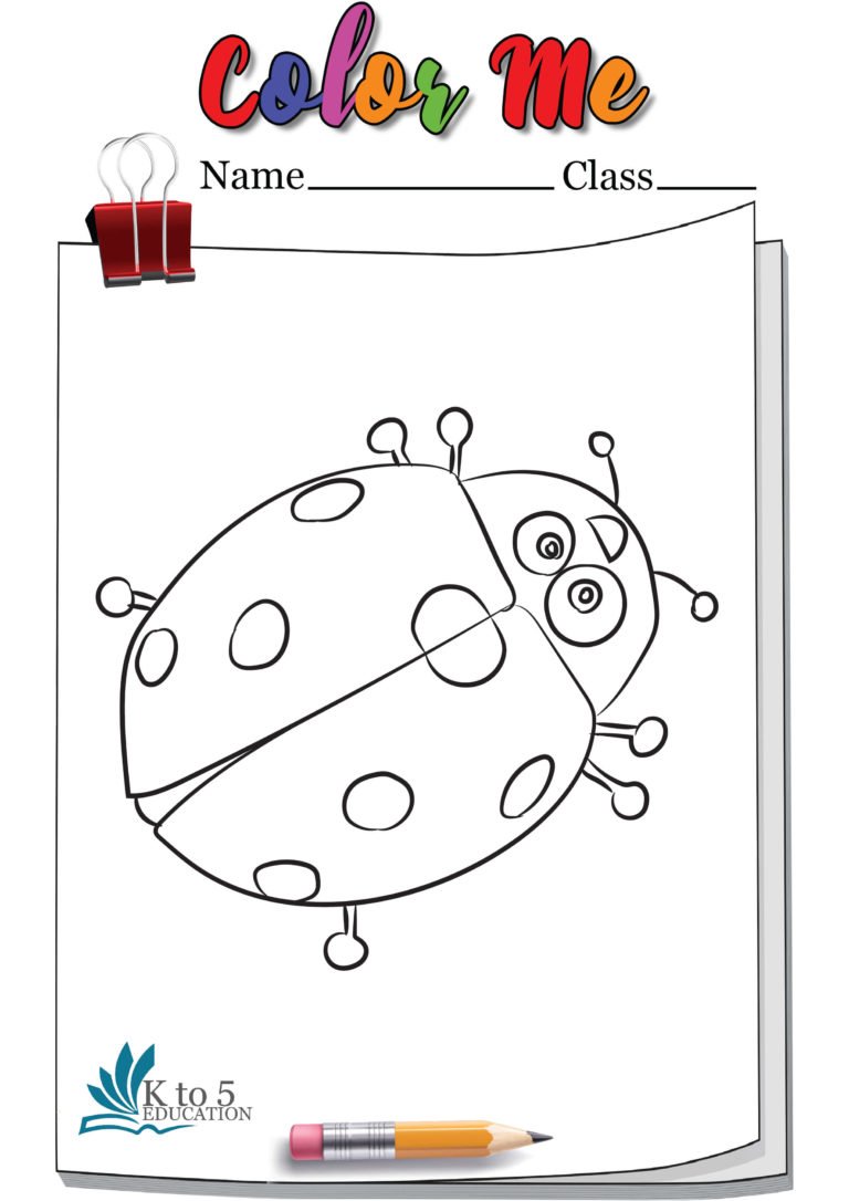 Ladybug Top view coloring page worksheet