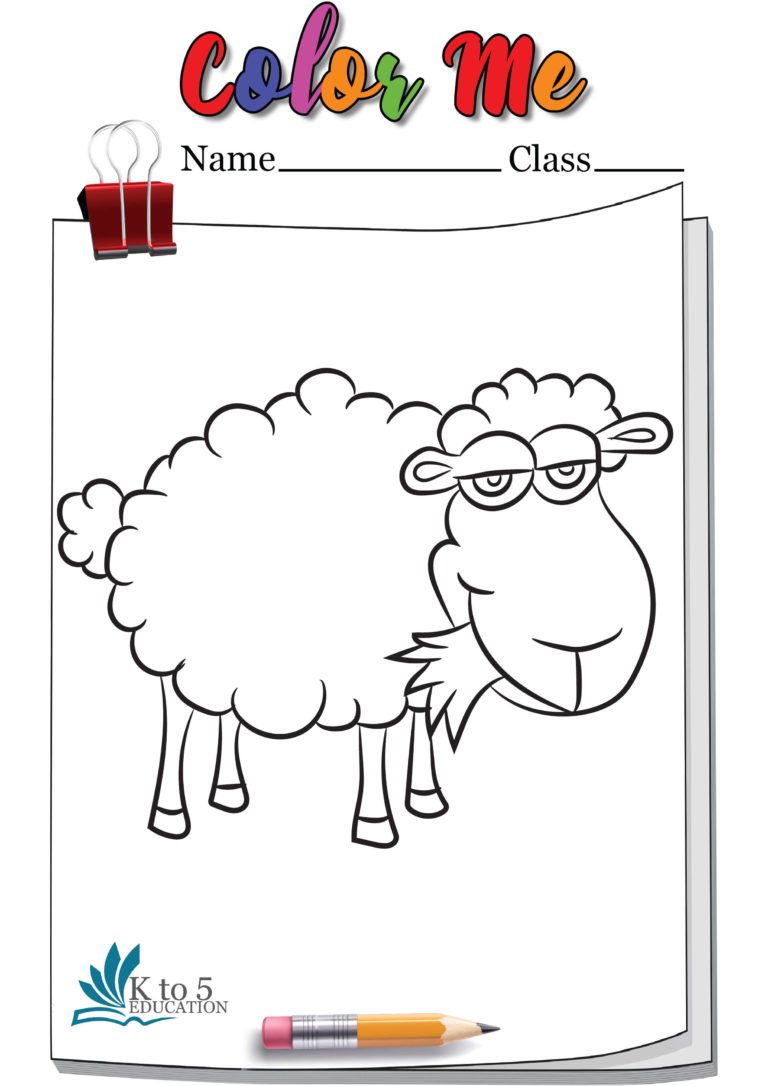 Sheep Eating Grass Coloring Page Worksheet