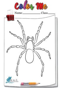 Tarantula Exoskeleton Coloring page worksheet 1