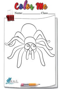 Spider looking up coloring page Worksheet