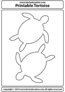 Printable Tortoise  Worksheet For Kids