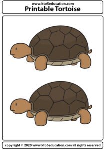 Printable Tortoise Worksheet For Kids