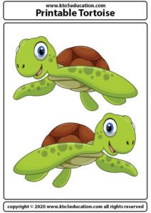Printable Tortoise Worksheet For Kids