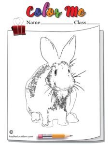 Bunny Outline Coloring Page