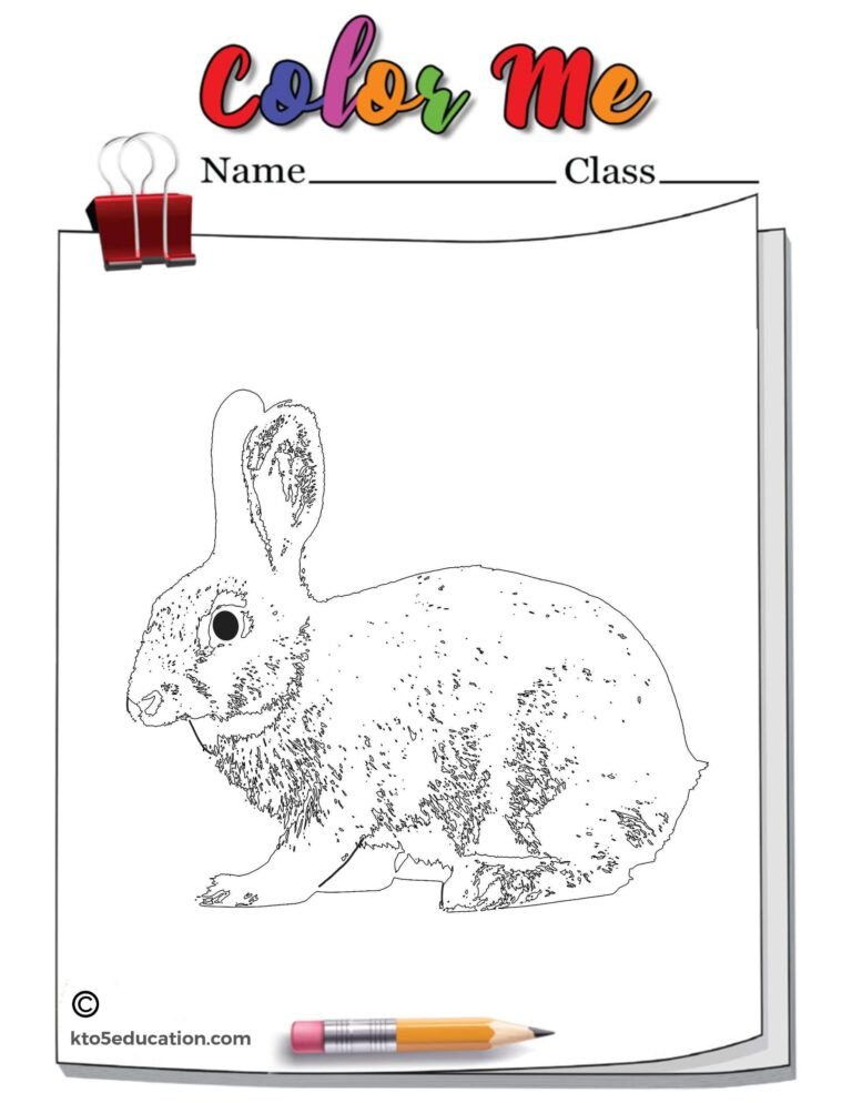 Bunny Rabbit Outline Coloring Page