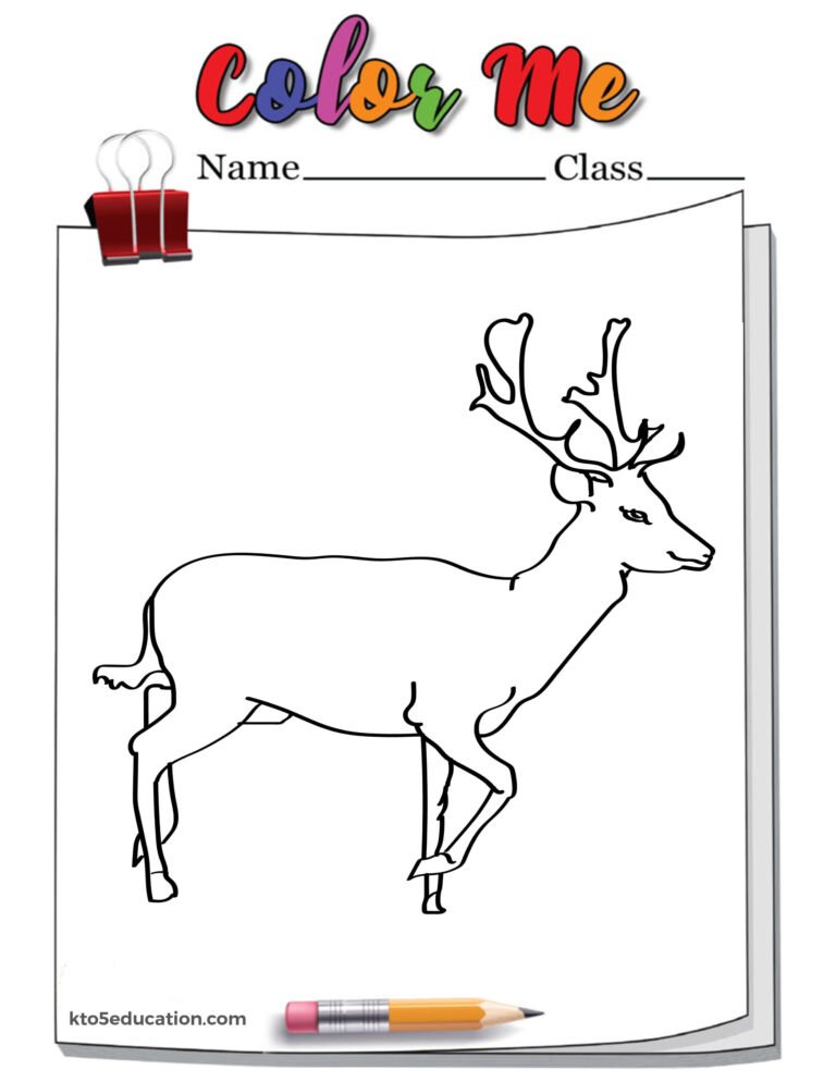 Deer Outline Coloring Page Worksheet