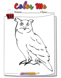 Eagle Owl Outline Coloring Page