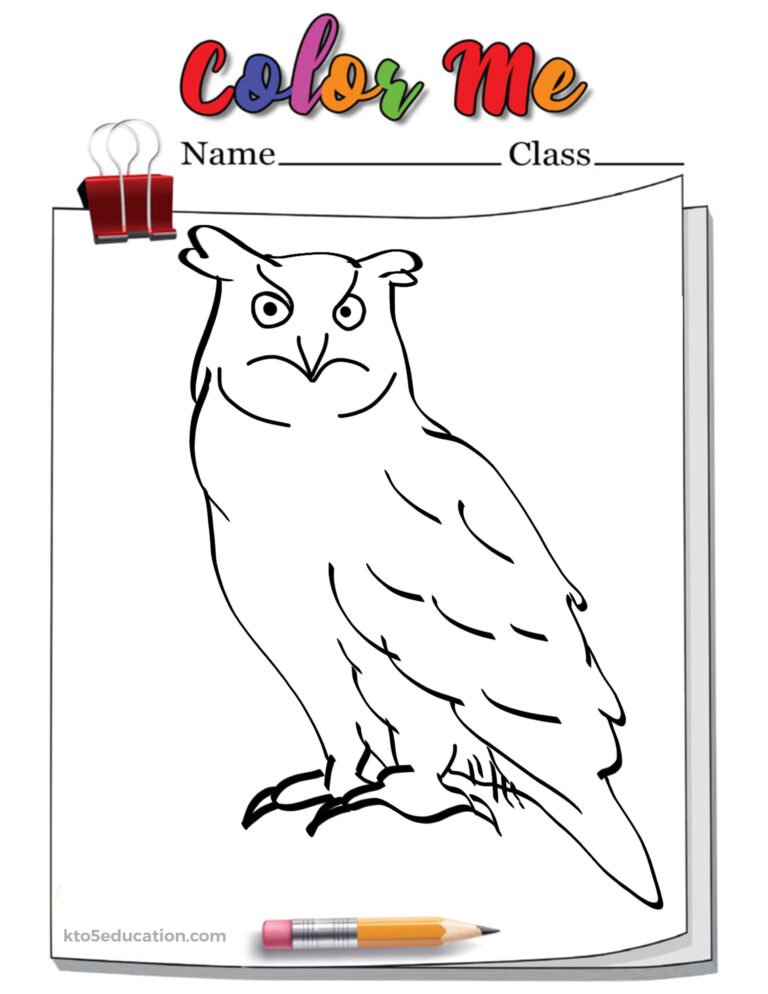 Eagle Owl Outline Coloring Page Worksheet