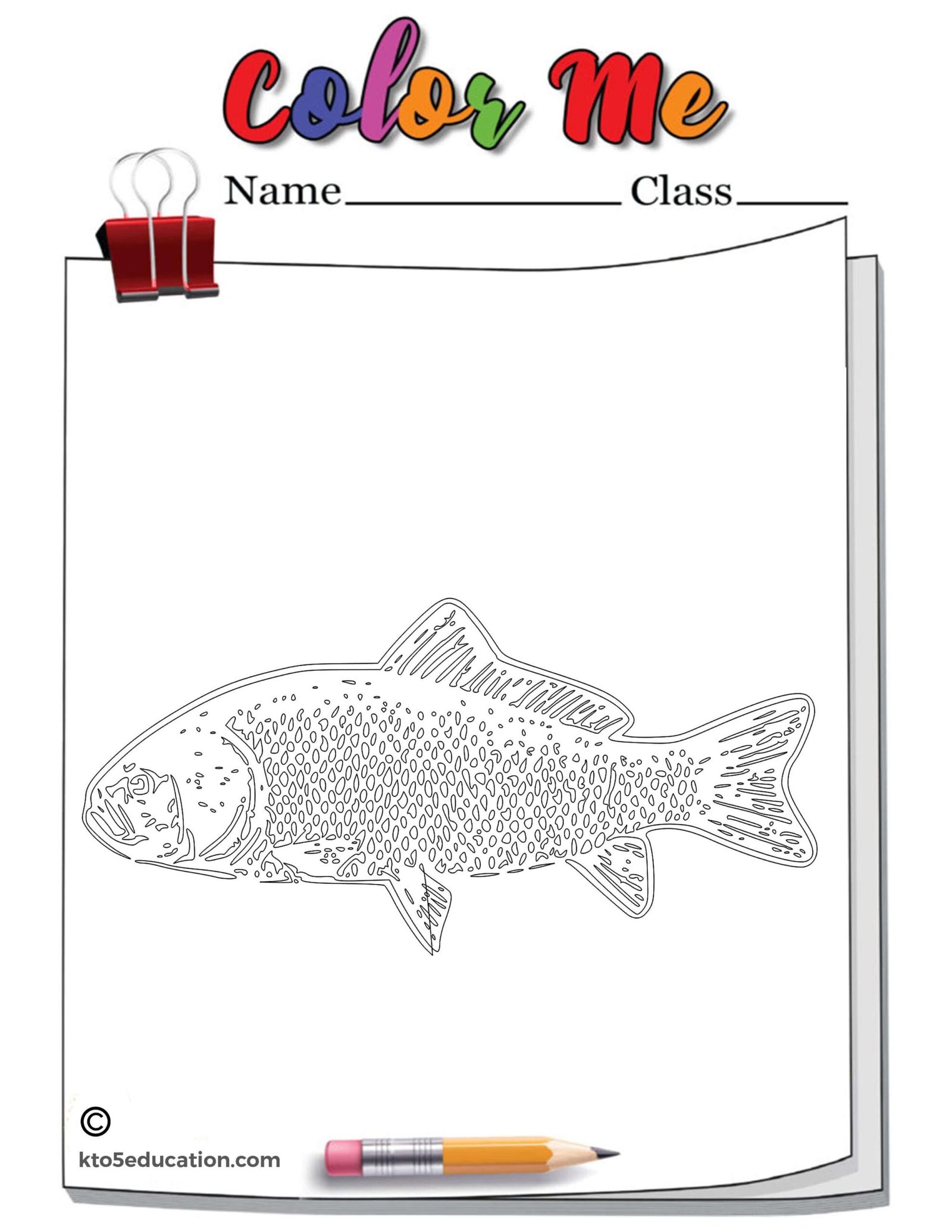 Fish Outline Coloring Page