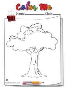 Maple Tree Outline Coloring Page