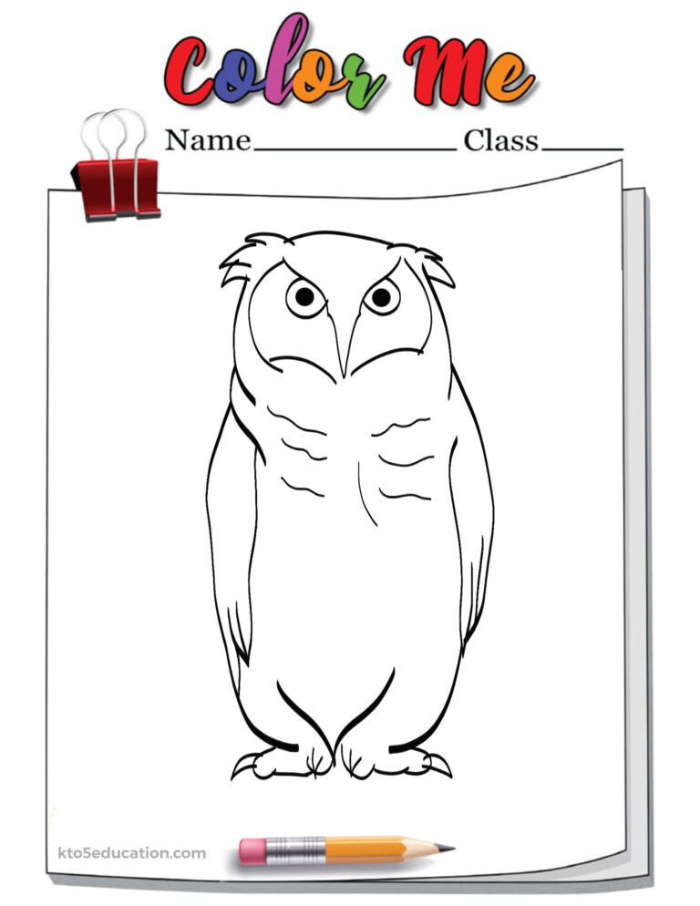 Owl Outline Coloring Page Worksheet