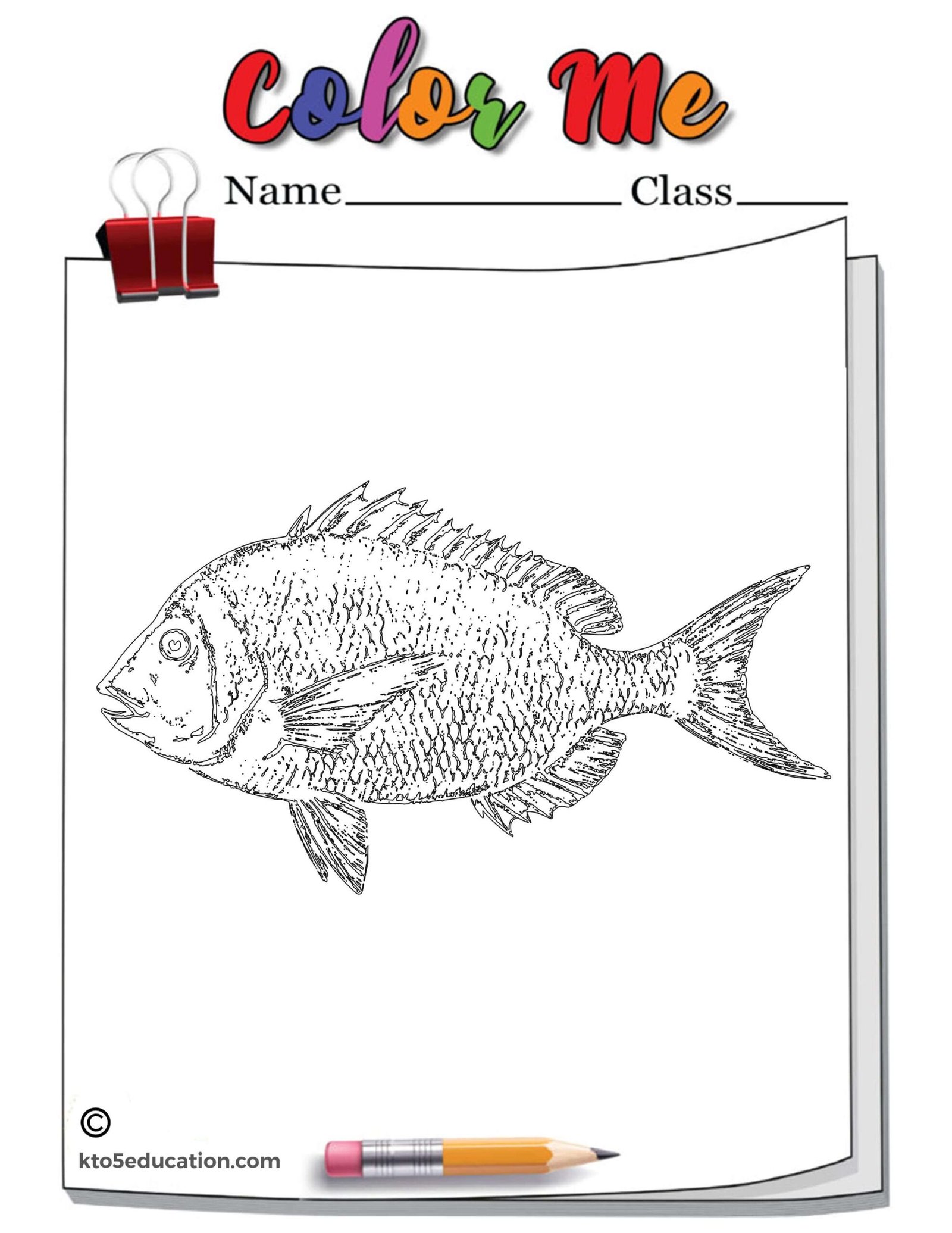 Porgy Fish Outline Coloring Page