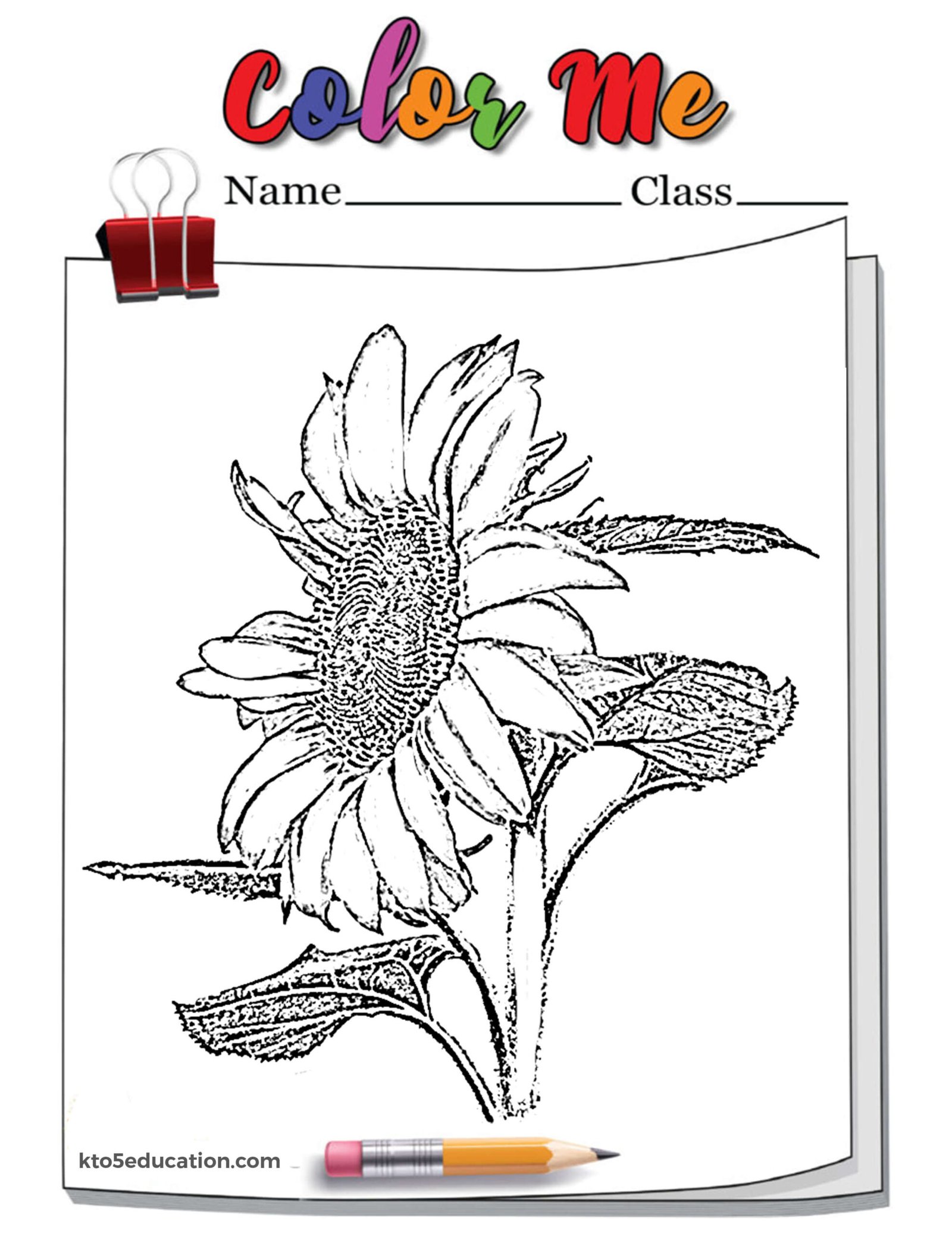 Rustic Sunflower Outline Coloring Page