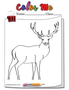 Standing Deer Outline Coloring Page