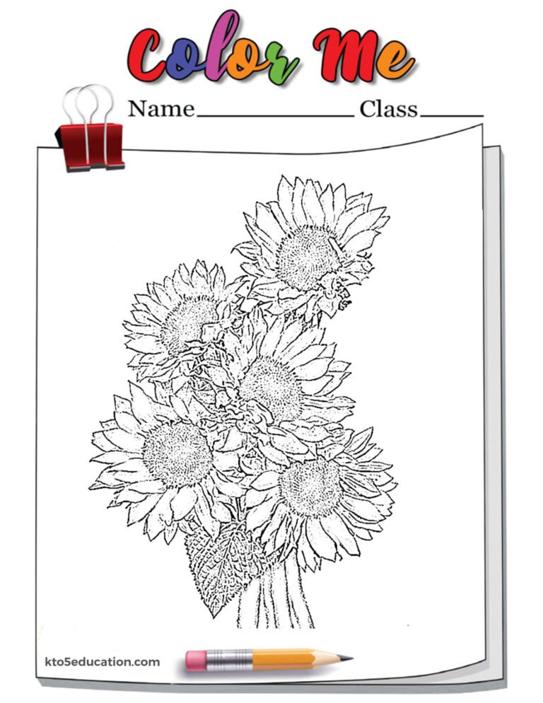 Sunflower Outline Coloring Page