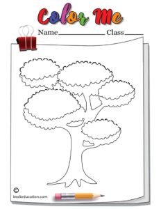 Tree Outline Coloring Page