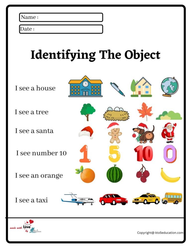Identifying The Object Worksheet | FREE Download 