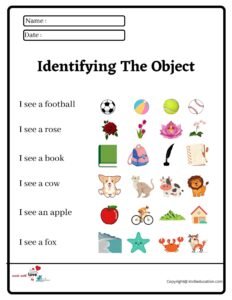 Identifying the Object Worksheet 2
