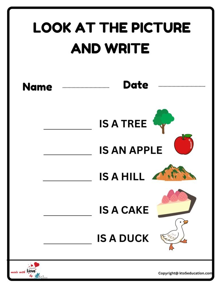 Look At The Picture And Write Worksheet | FREE Download 