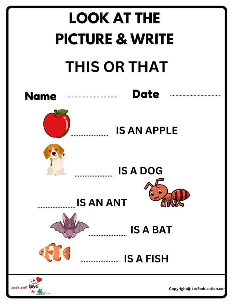 Look At The Picture Write Worksheet | FREE Download 