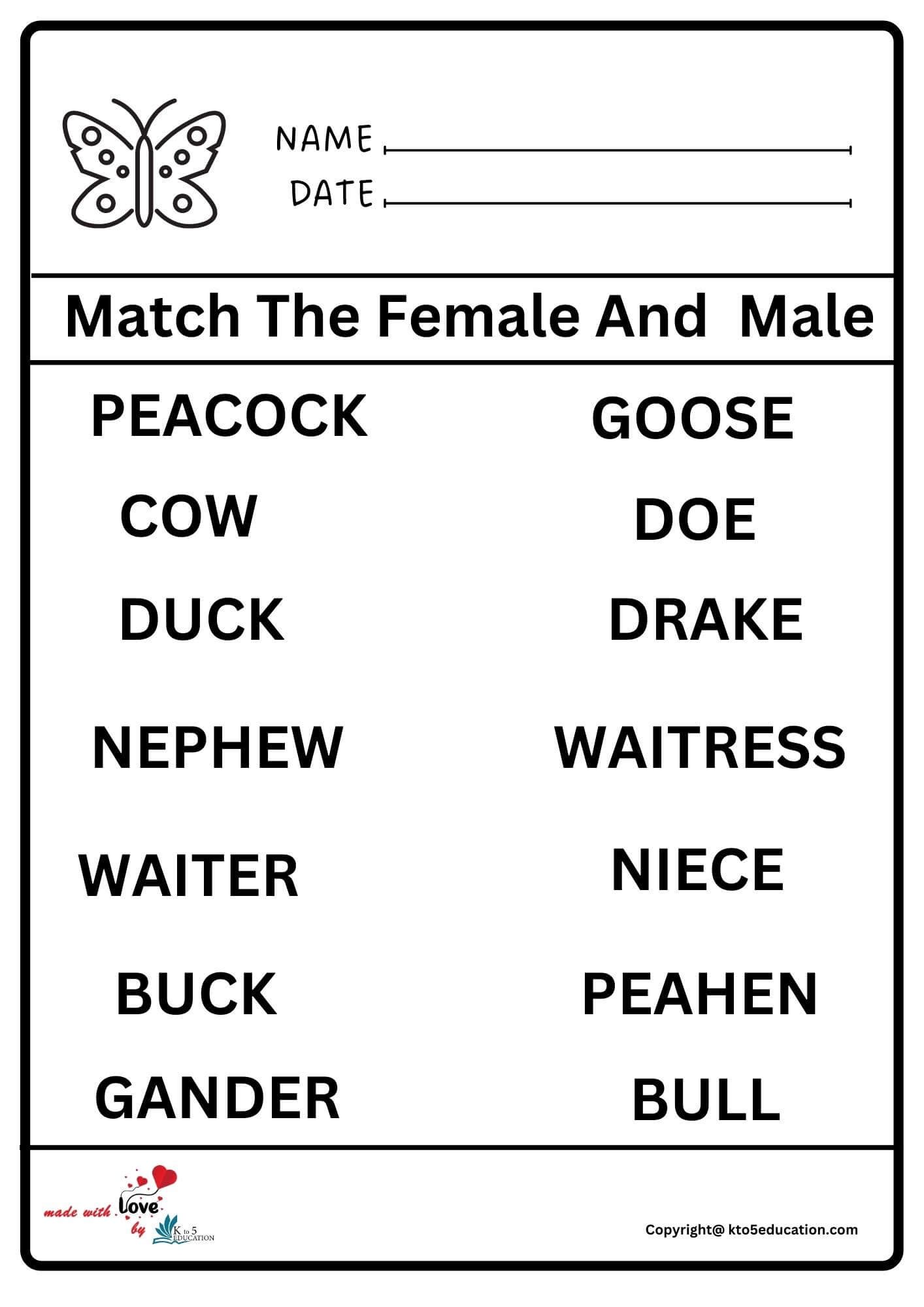 Match The Female And Male Worksheet 2