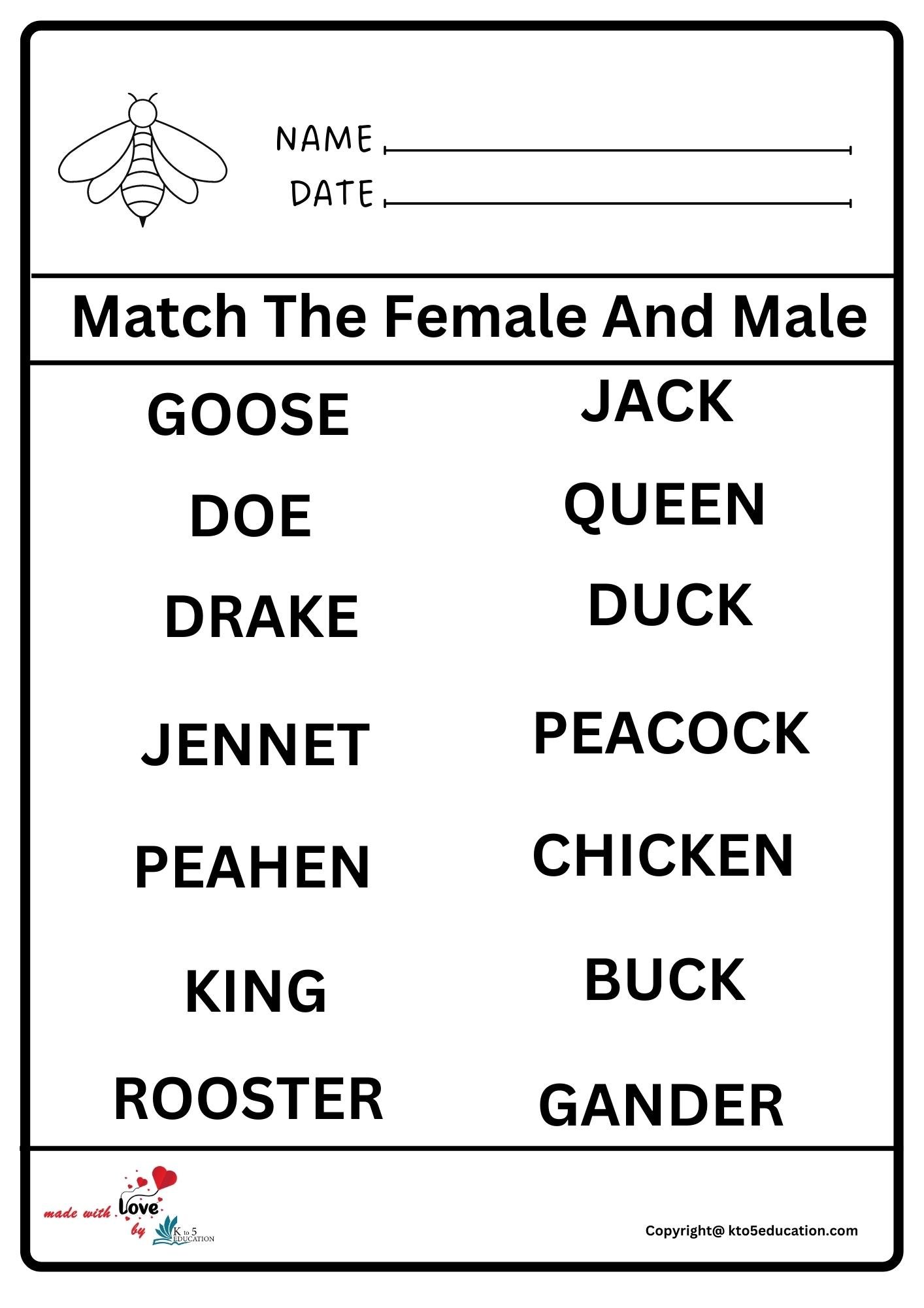 Match The Female And Male Worksheet