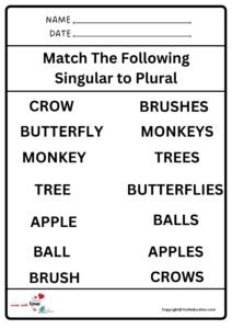 Match The Following Singular To Plural Worksheet