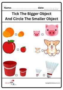 Tick The Bigger Object And Circle The Smaller Obejct Worksheet