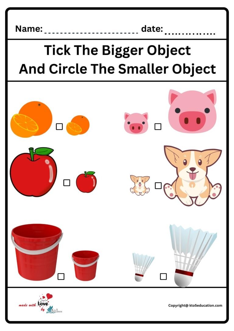 Tick The Bigger Object And Circle The Smaller Object Worksheet | FREE Download