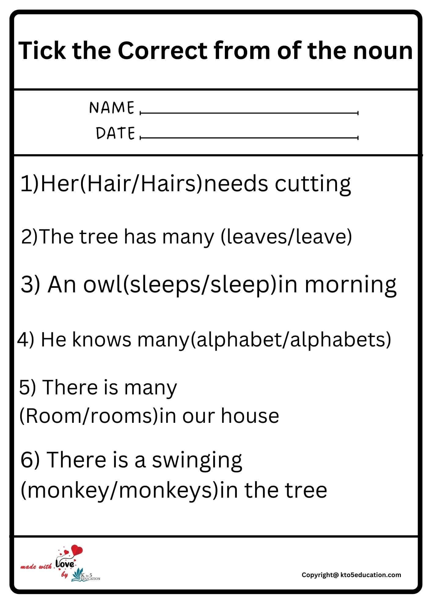 Tick The Correct From Of The Noun Worksheet