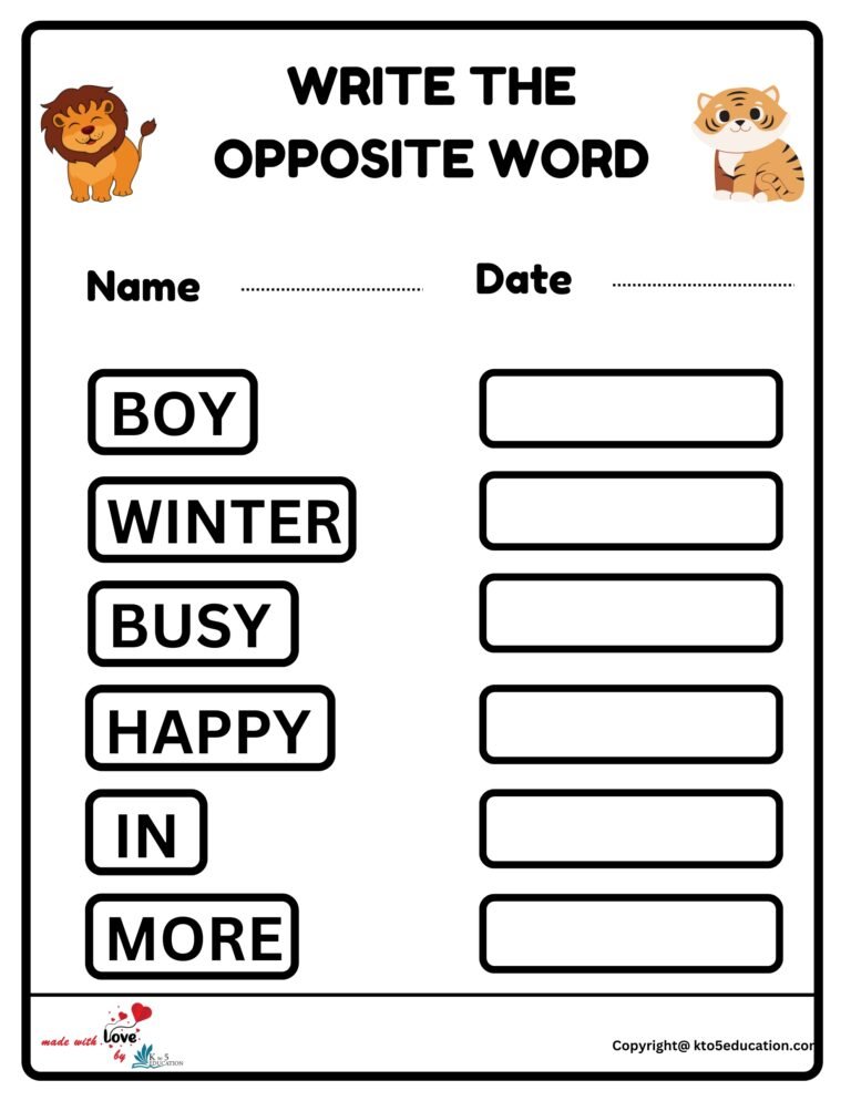Write The Opposite Word Worksheet | FREE Download 