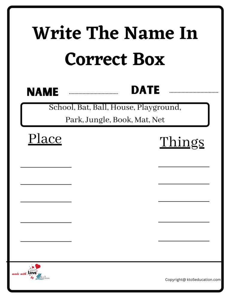 Write The Name In Correct Box Worksheet | FREE Download 