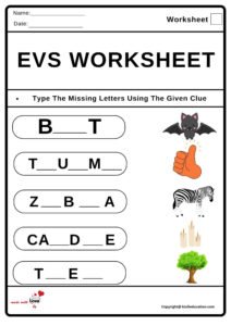 Evs Worksheet 2