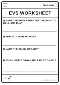 Evs Worksheets 2